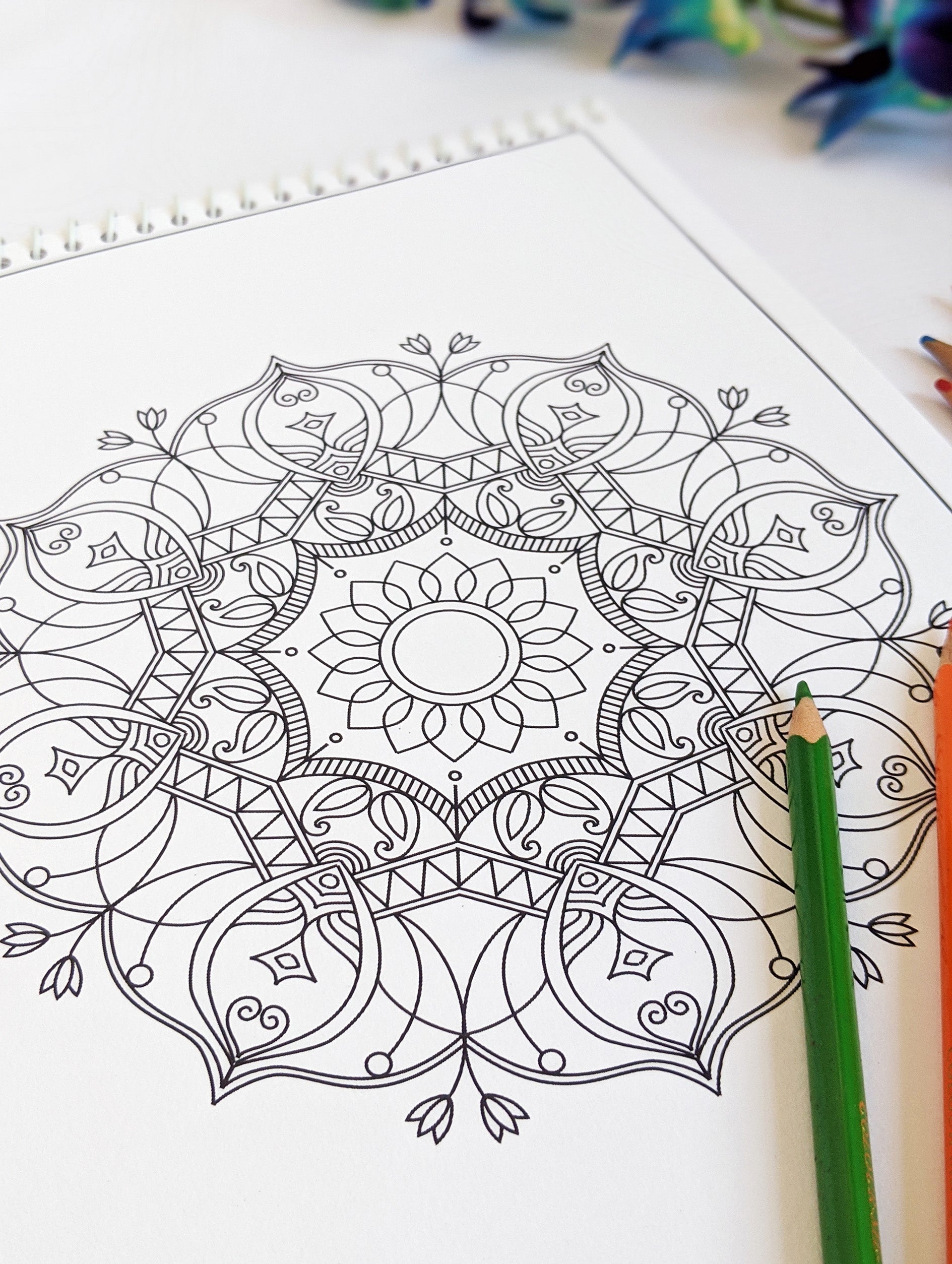 Relaxing Mandalas: Adult Coloring Book